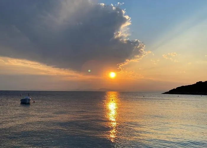 Dom wakacyjny Koeni House